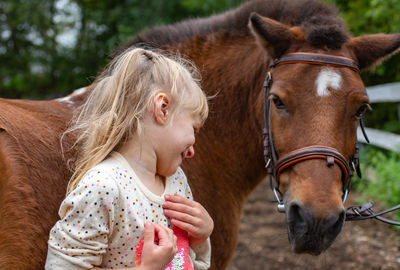 Close-up of horse standing outdoors