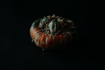 High angle view of pumpkins against black background