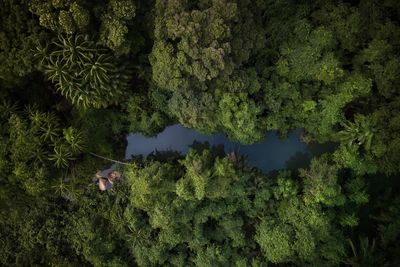 High angle view of a lake