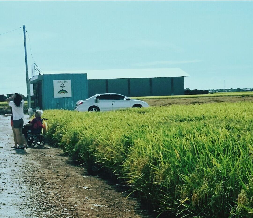 grass, clear sky, field, men, building exterior, built structure, transportation, architecture, lifestyles, sky, copy space, agriculture, green color, leisure activity, person, plant, rural scene, mode of transport, land vehicle