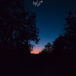 Low angle view of silhouette trees against sky at night