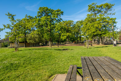 Trees on bench by field against sky