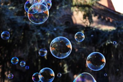 Close-up of bubbles
