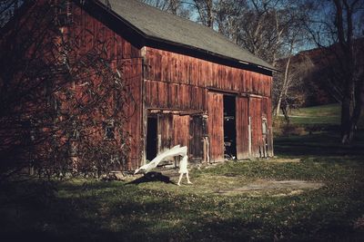 Abandoned barn on field against trees in forest