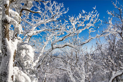 Low angle view of snow covered mountain against sky