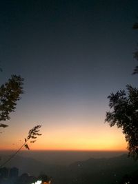 Silhouette tree against clear sky during sunset