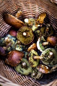 High angle view of mushrooms in basket