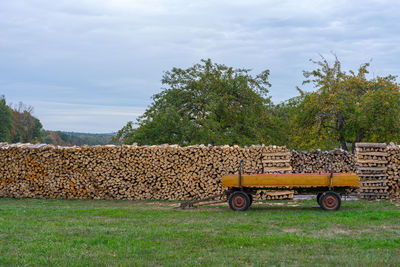 Stack of logs on field against trees