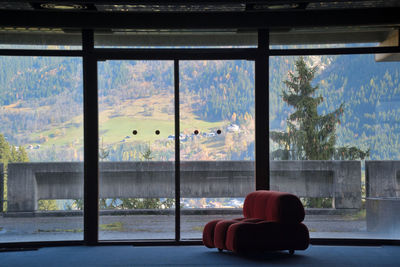 View of cat looking through window