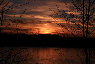 Silhouette of trees at sunset