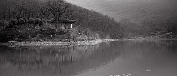 Scenic view of lake in forest