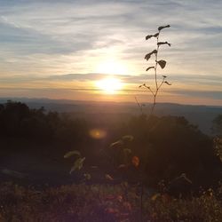 Scenic view of field against sky at sunset