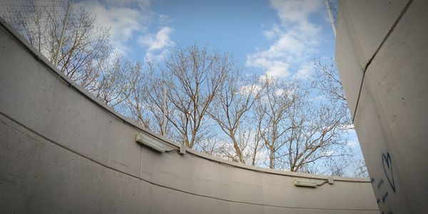 Low angle view of bare tree and building against sky