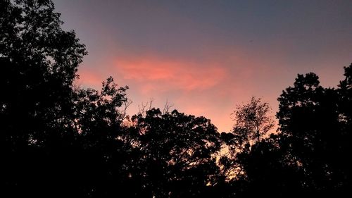 Low angle view of silhouette trees against sky during sunset