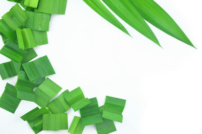 Close-up of leaves against white background