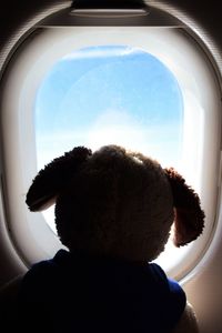 Rear view of boy looking through airplane window