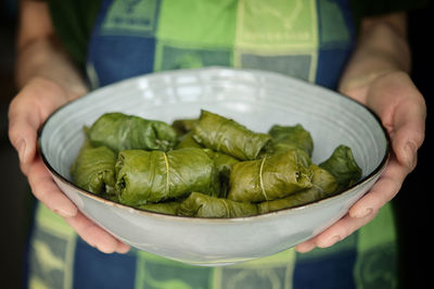 Closeup stuffed patience dock leaves with beef, rice and vegetables