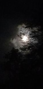 Low angle view of silhouette trees against sky at night