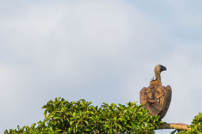 Low angle view of statue against sky