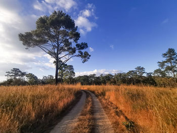 Dirt road along trees on field against sky