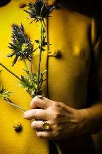 Yellow flowers and thistles near the heart