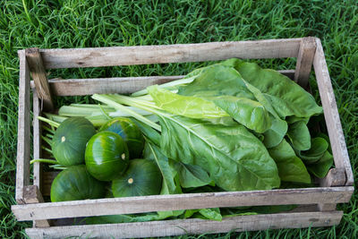 High angle view of green leaves in crate