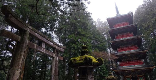 Low angle view of statue against trees