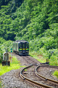 Green forest and local train