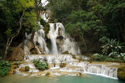 Scenic view of waterfall in forest