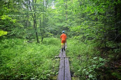 Hike in the woods