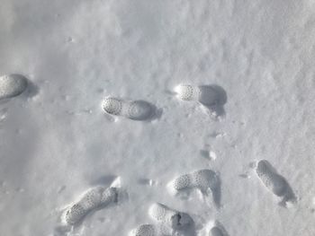 High angle view of snow