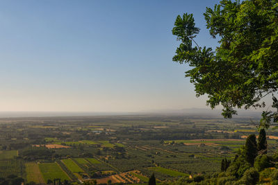 Scenic view of agricultural field against clear sky