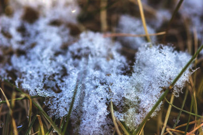 Close-up of frozen frost