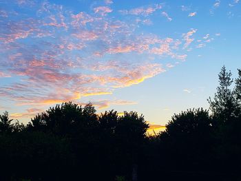 Low angle view of silhouette trees against sky during sunset