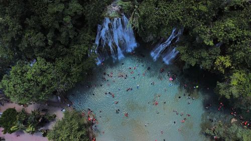 Scenic view of waterfall in forest