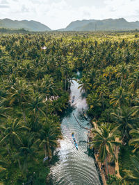 Scenic view of agricultural field