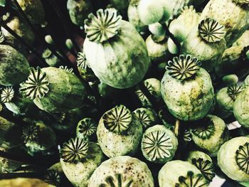 Full frame shot of fruits