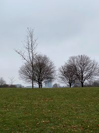 Bare trees on field against sky