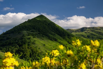 Scenic view of landscape against sky. mountains of chechnya in the caucasus.