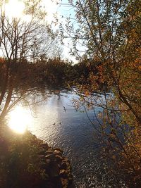 Scenic view of river at sunset