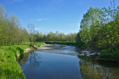 Reflection of trees in river