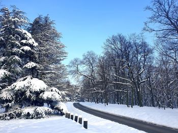 snow