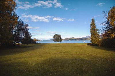 Scenic view of field against sky