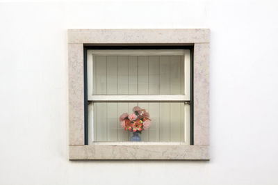 Close-up of flower window on white wall