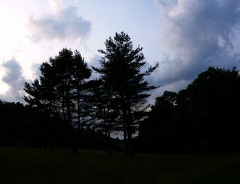 Low angle view of silhouette trees on field against sky