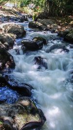 River flowing in forest