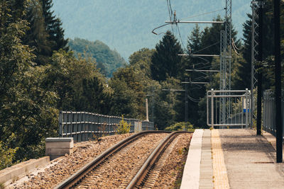 Railroad tracks by trees and plants