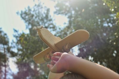 Low angle view of hand holding tree against sky