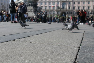 People on street in city