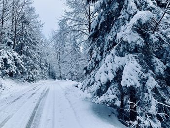 Snow covered road amidst trees during winter